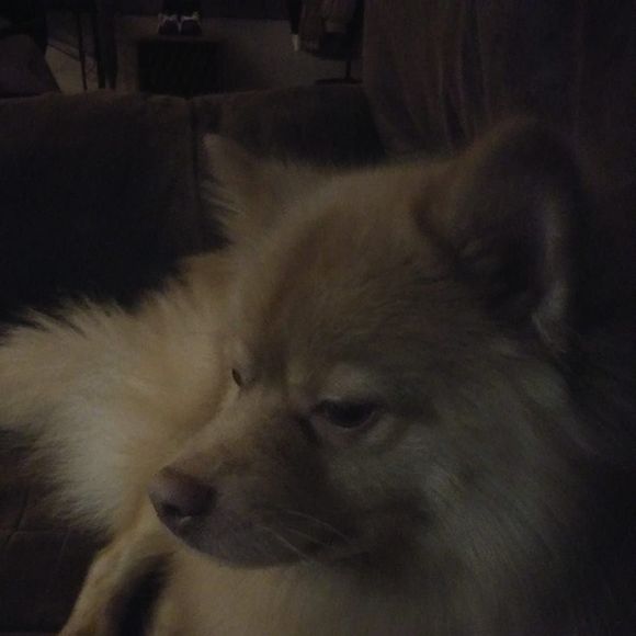 Meet your Posher, Scott - Picture 1 of 1